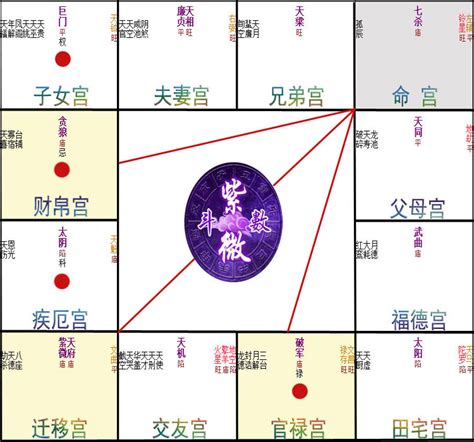 紫微斗數 12宮|紫微斗數十二宮位詳解